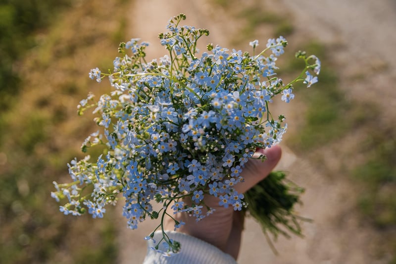 Wildflower Bouquets